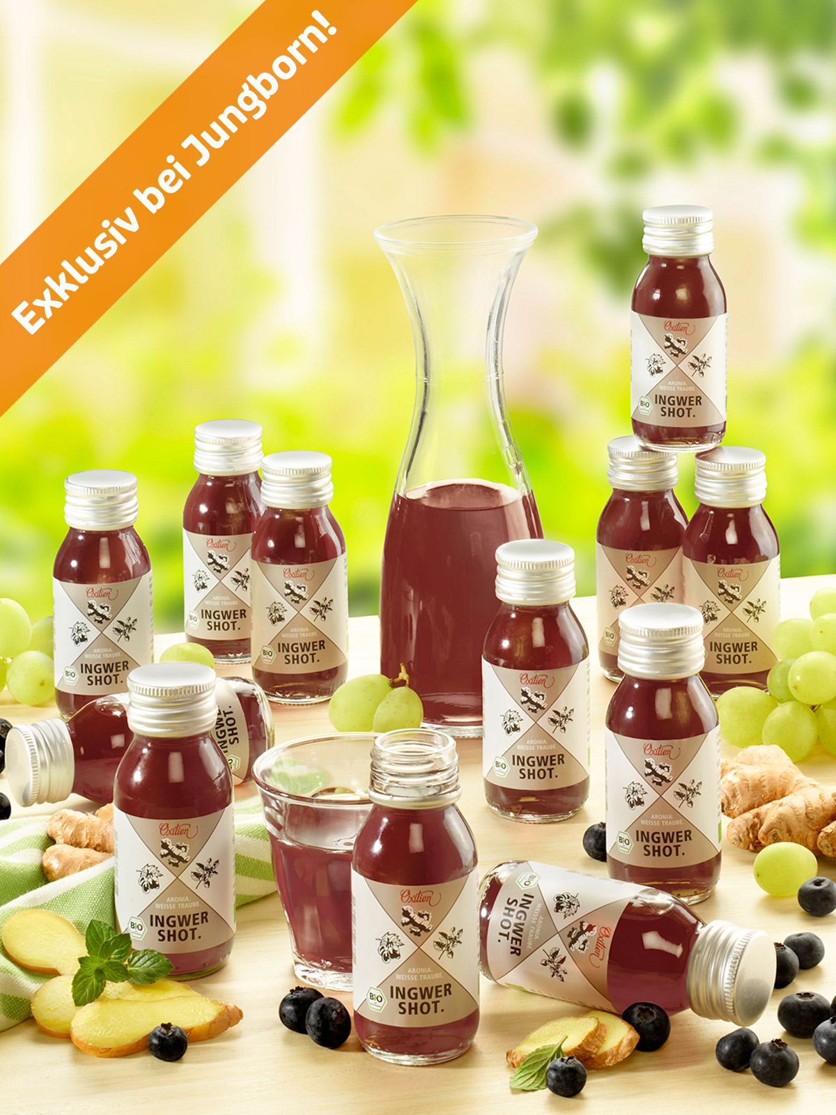 Ingwer-Aronia-Shot, Bio 12er