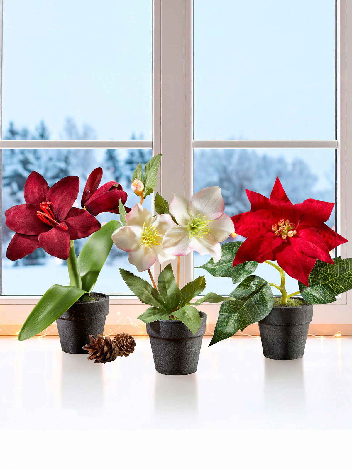 Weihnachtsblumen-Trio