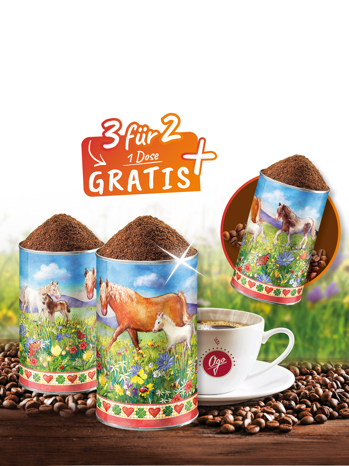 „3 für 2“ Pferdeliebe