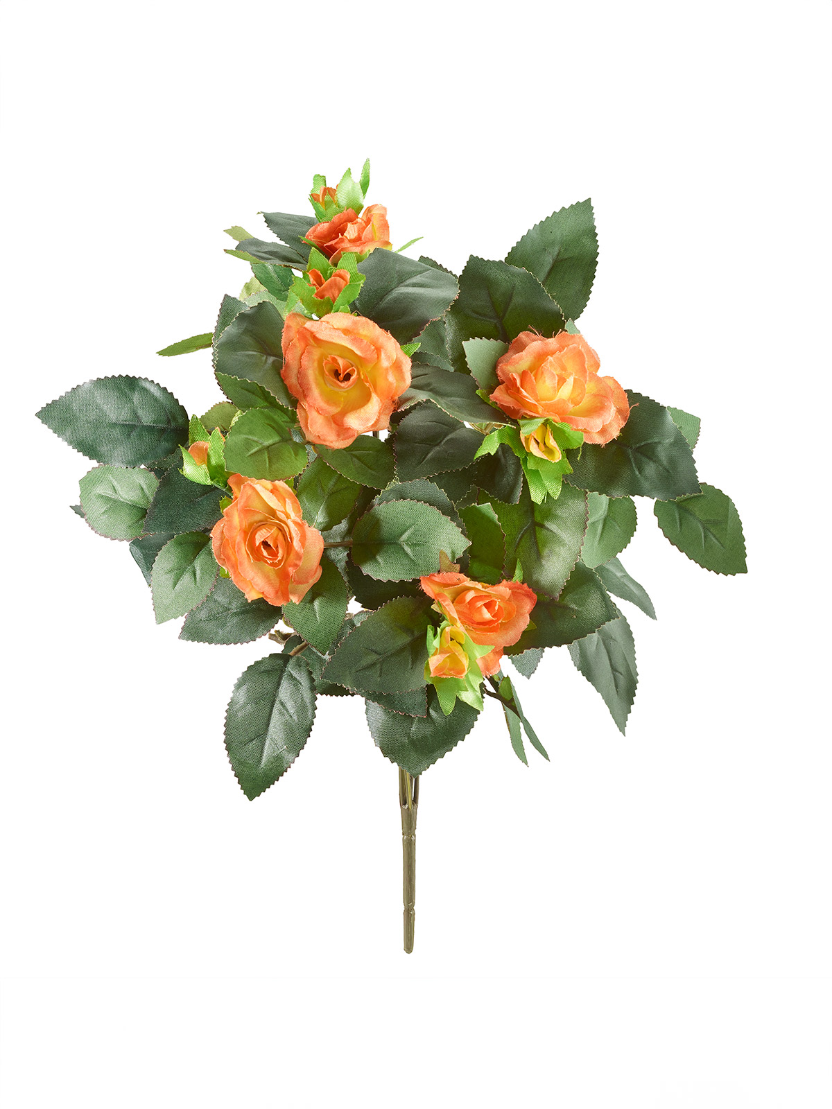 Rosenbusch-Pick, orange Rosenbusch-Pick, orange
