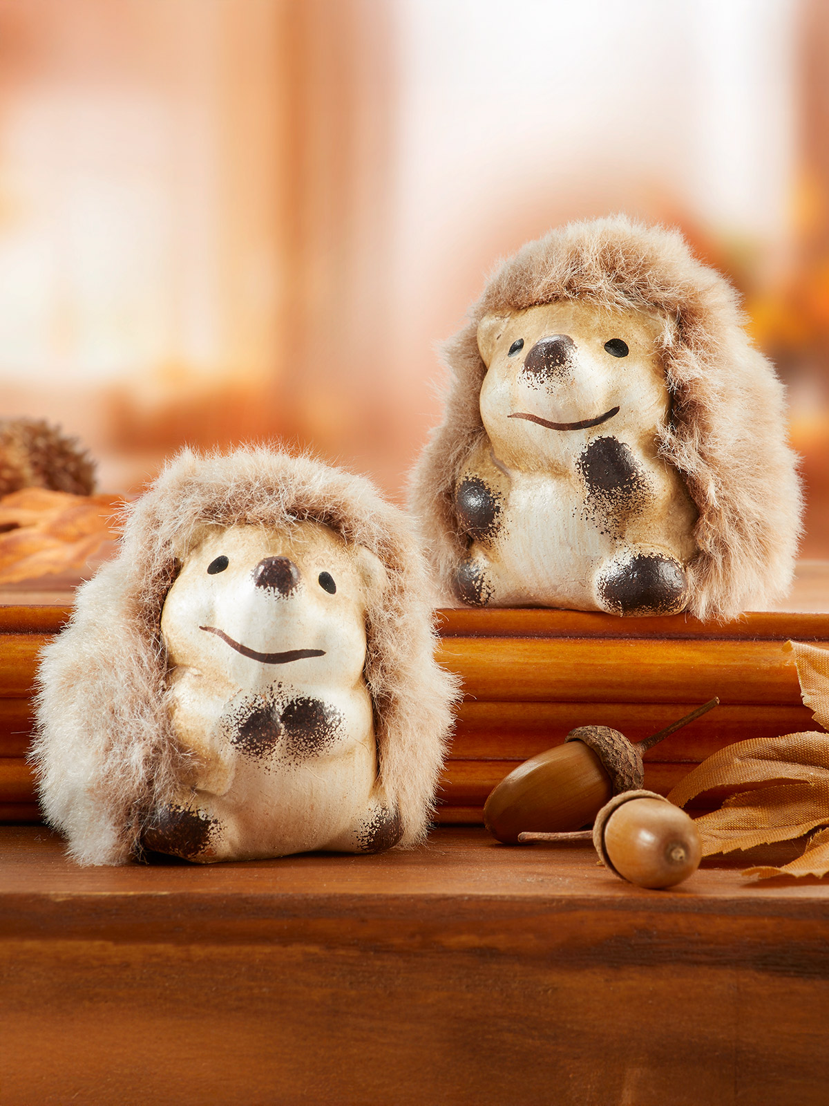 Igel-Duo „Frodo & Winnie“