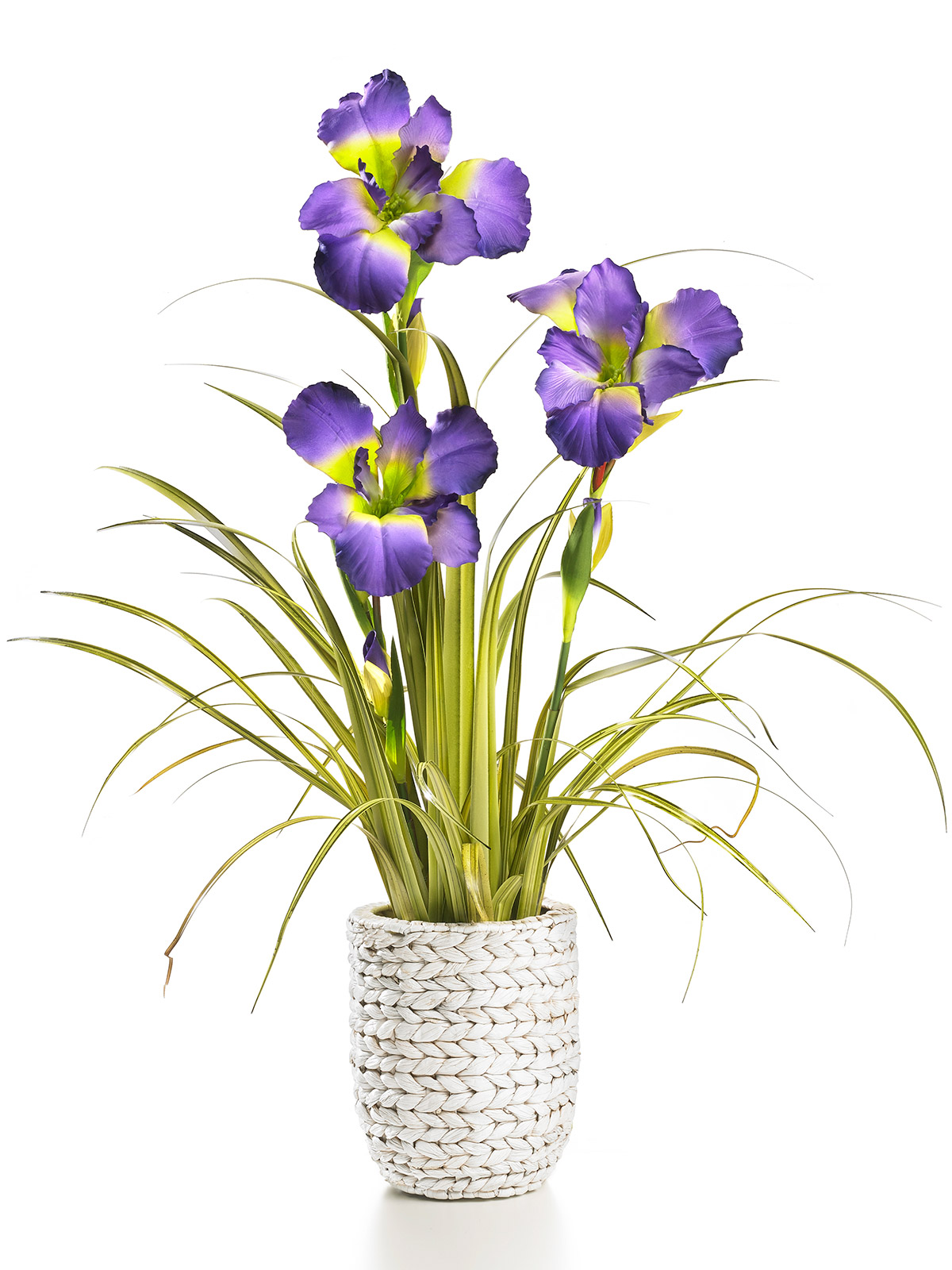 Korb „Sumpflilie, lila“
