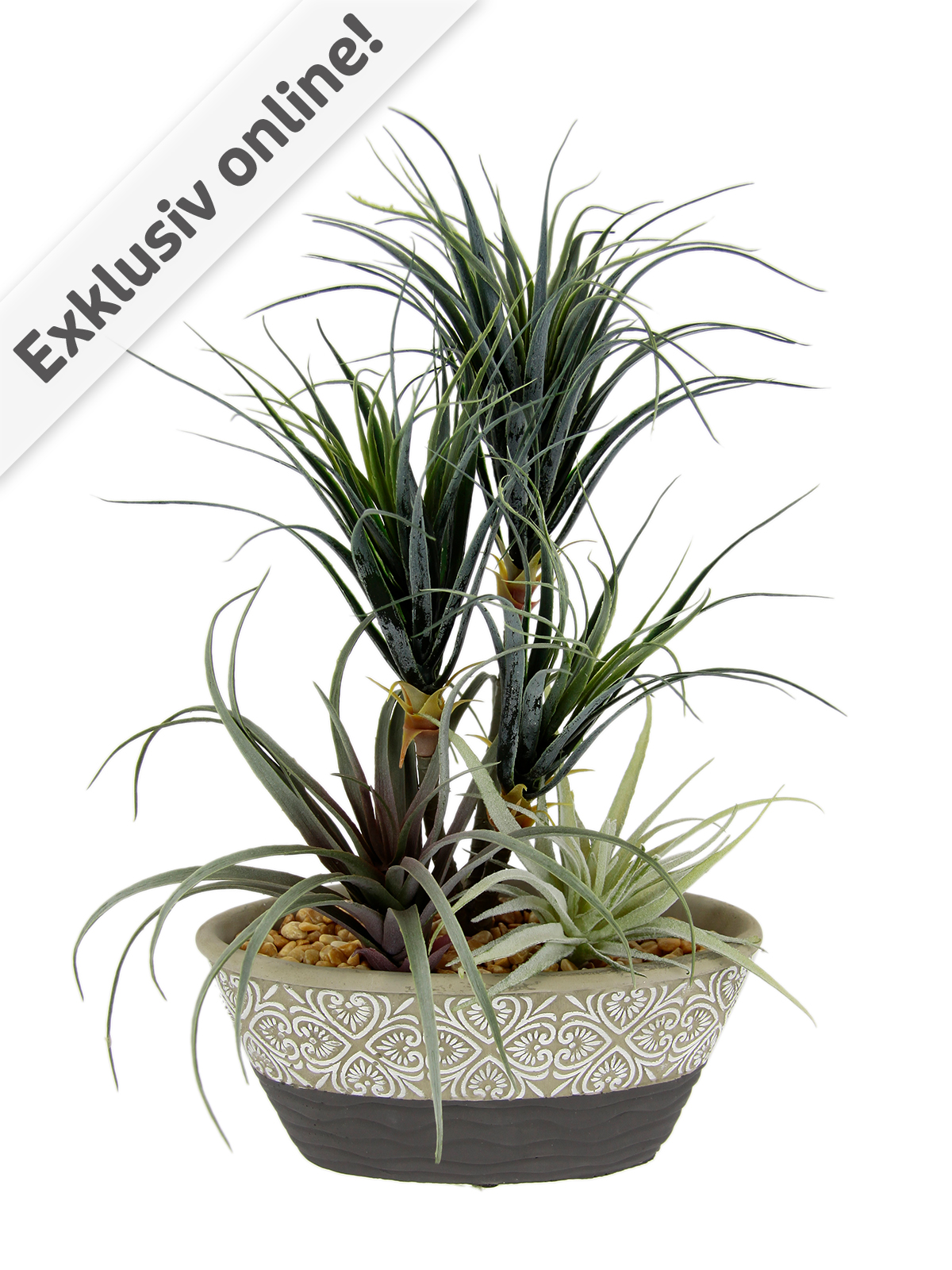 Keramikschale „Dracena & Tillandsia“