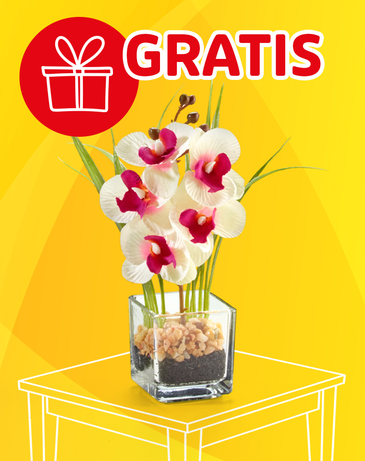 Orchideen-Deko in Glasvase auf gelbem Hintergrund mit Gratis-Symbol