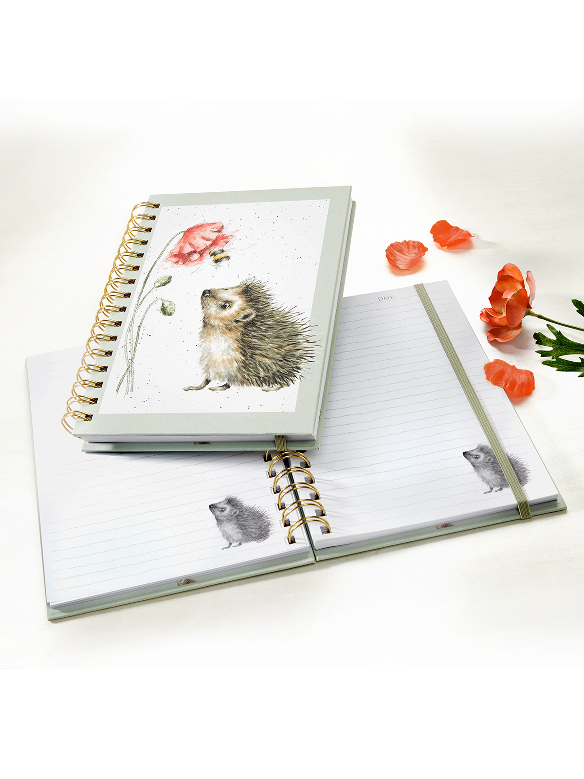 Notizbuch „Igel“