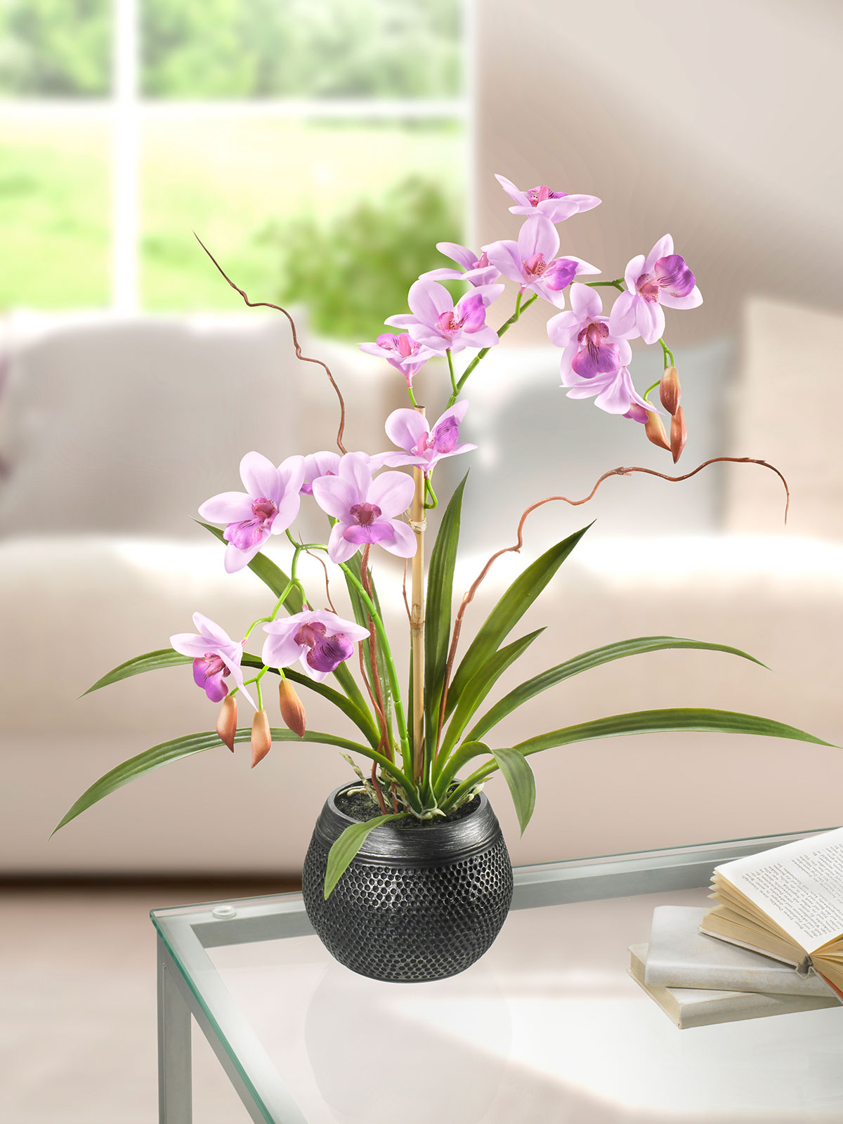 Orchidee „Asia“