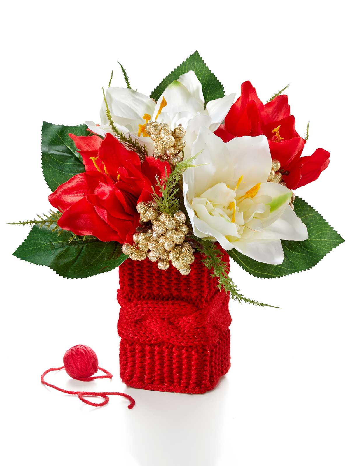 Amaryllis im Strickmantel 