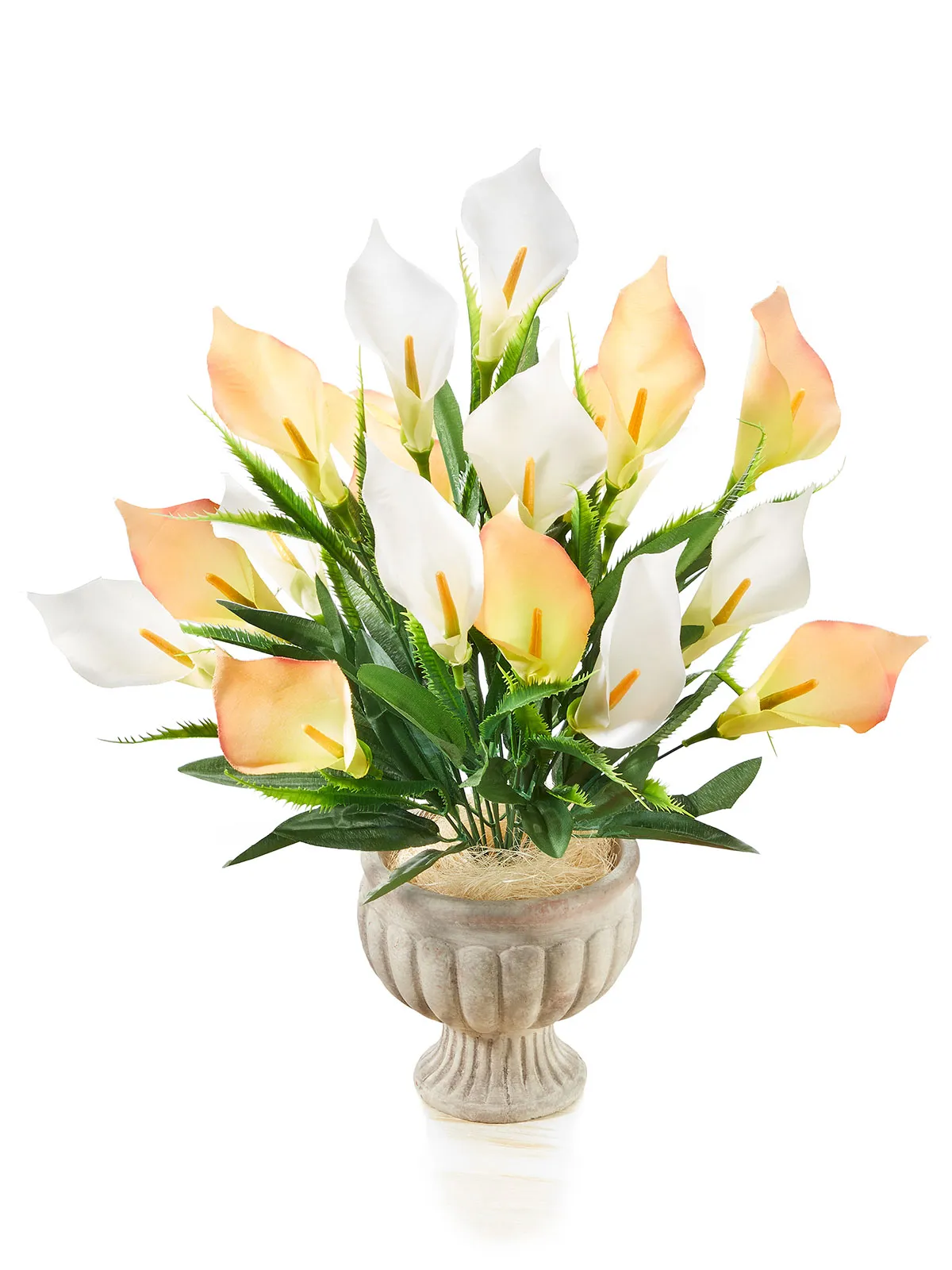 Calla-Pokal