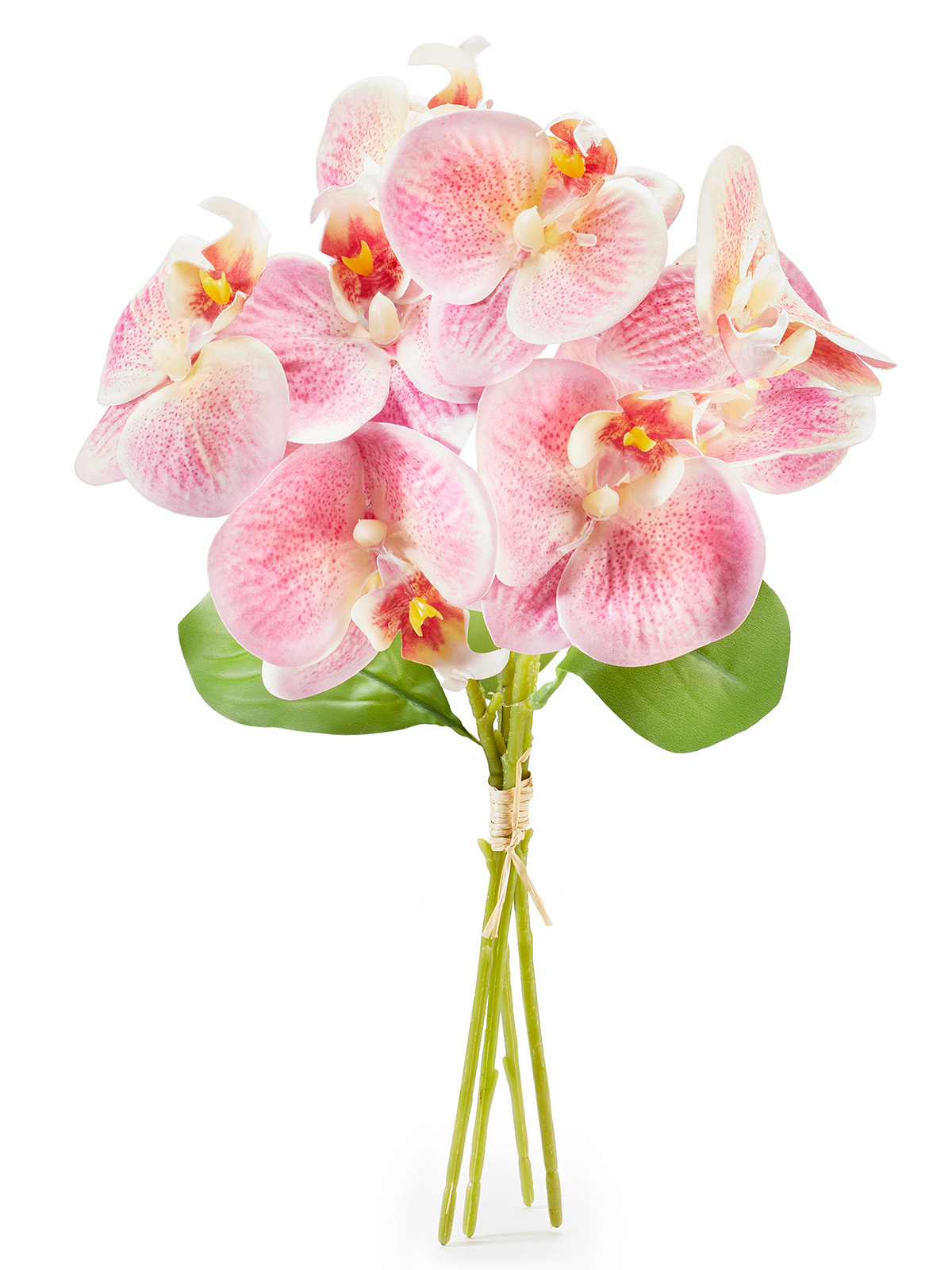 Orchideen-Bund „Rosetta“ Orchideen-Bund „Rosetta“