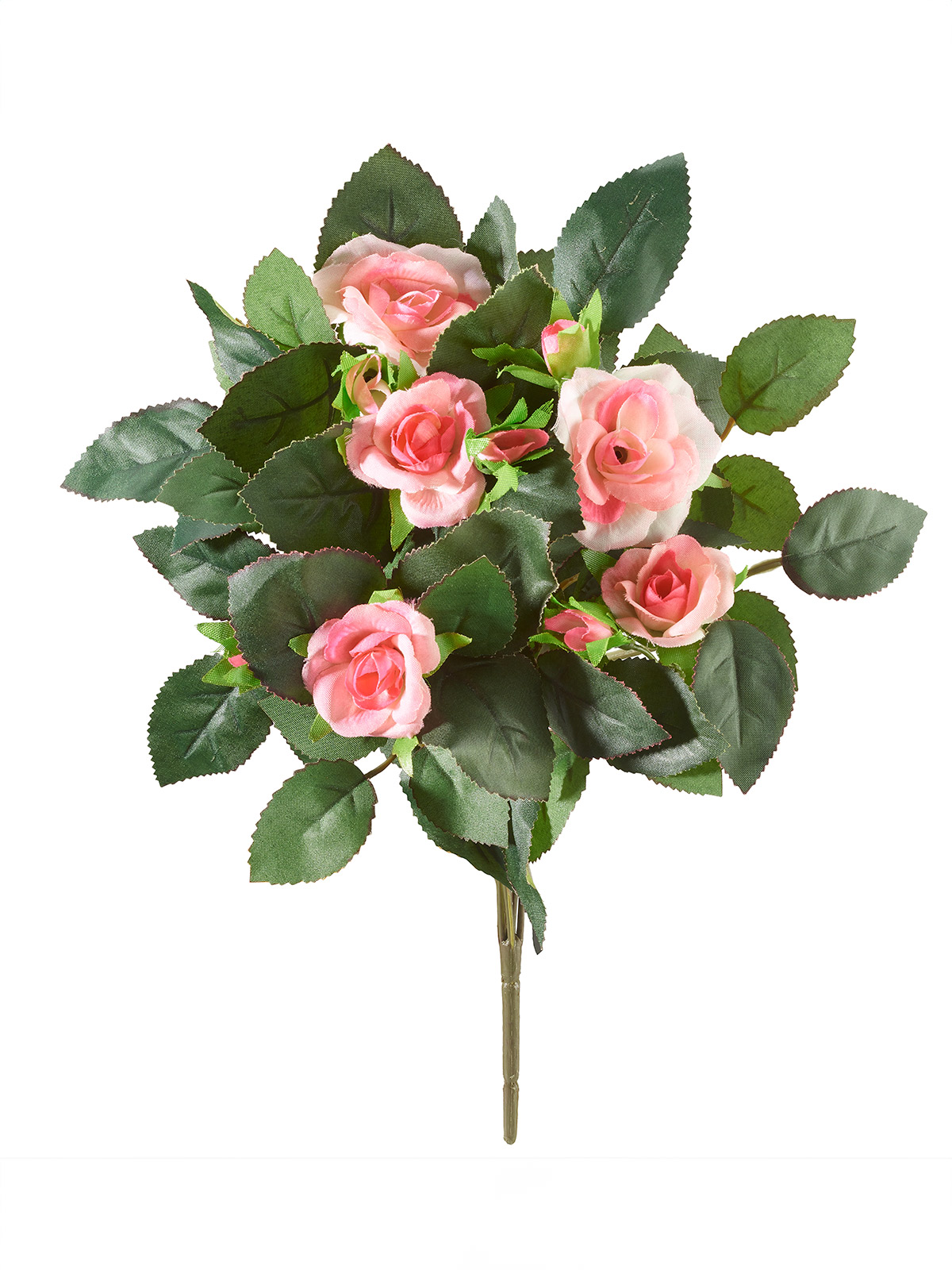Rosenbusch-Pick, rosa Rosenbusch-Pick, rosa