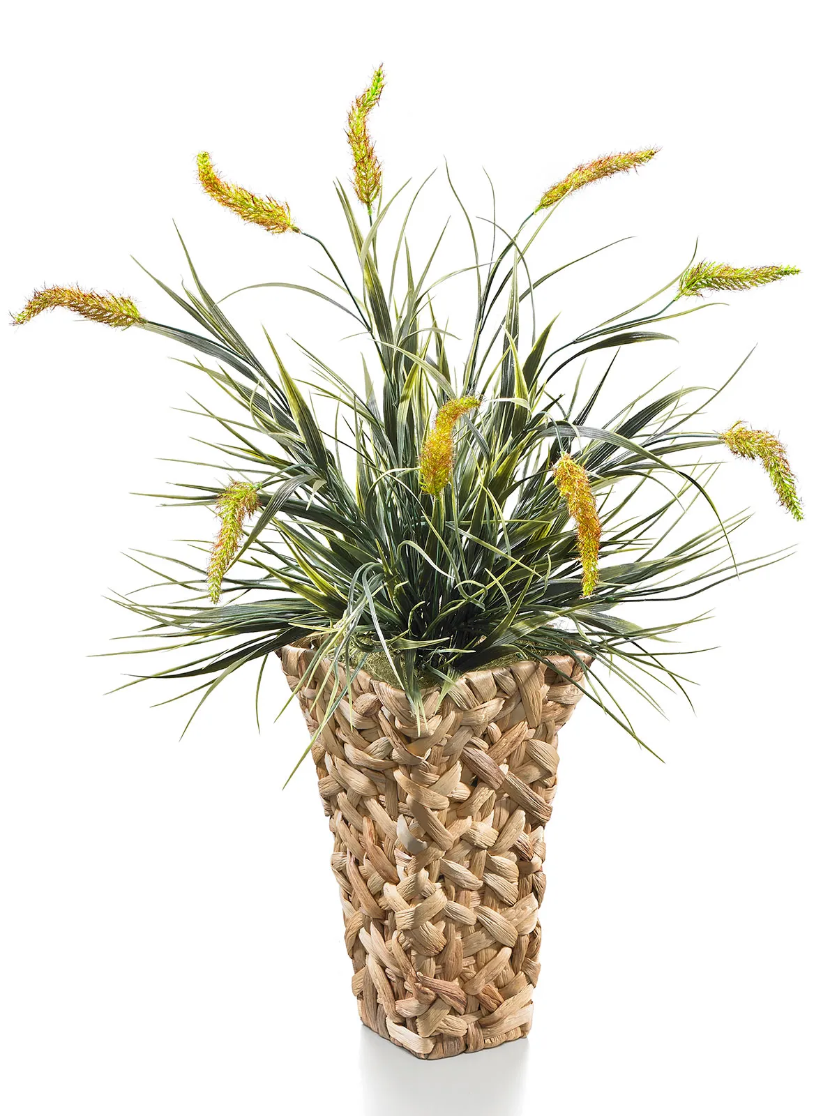 Lampenputzergras „Schilfvase“