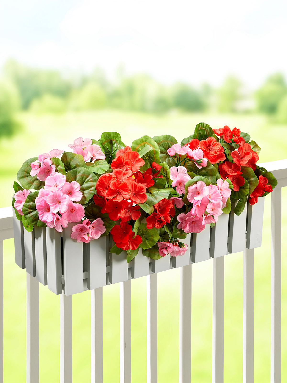 Geranien-Pick „Hanna“, Rosa
