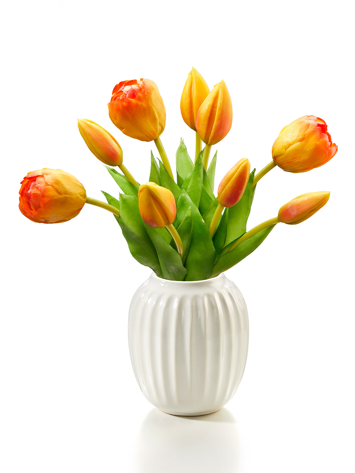 Tulpenbund „Tulipa“ Tulpenbund „Tulipa“