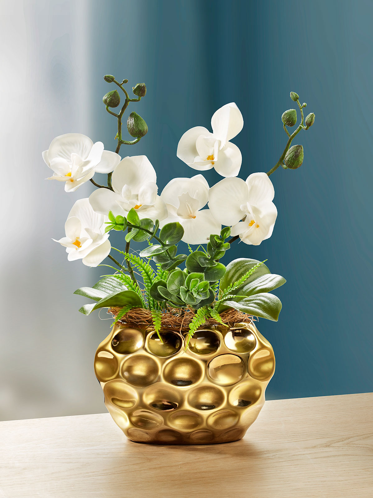 Orchidee „Zarina“