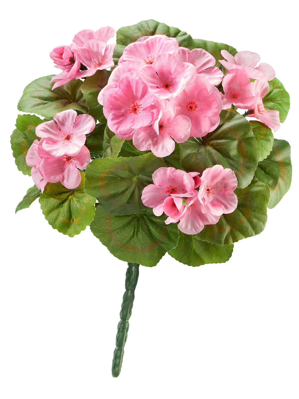 Geranien-Pick „Hanna“, Rosa