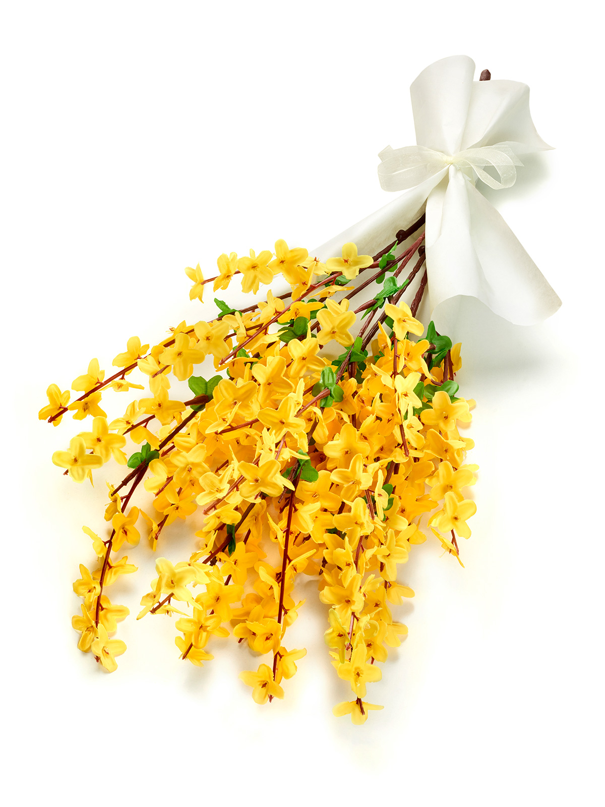 Forsythienstrauß Forsythienstrauß