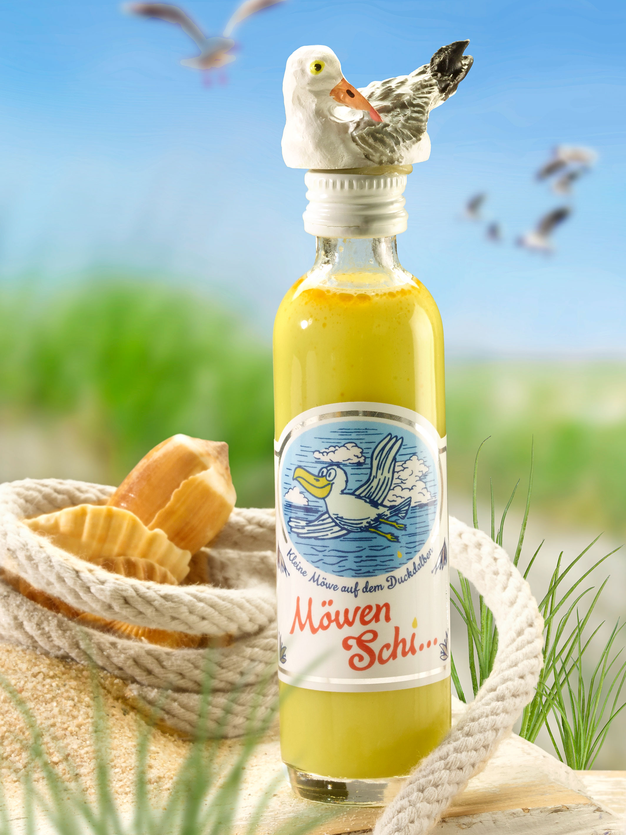 Möwen Schi ...