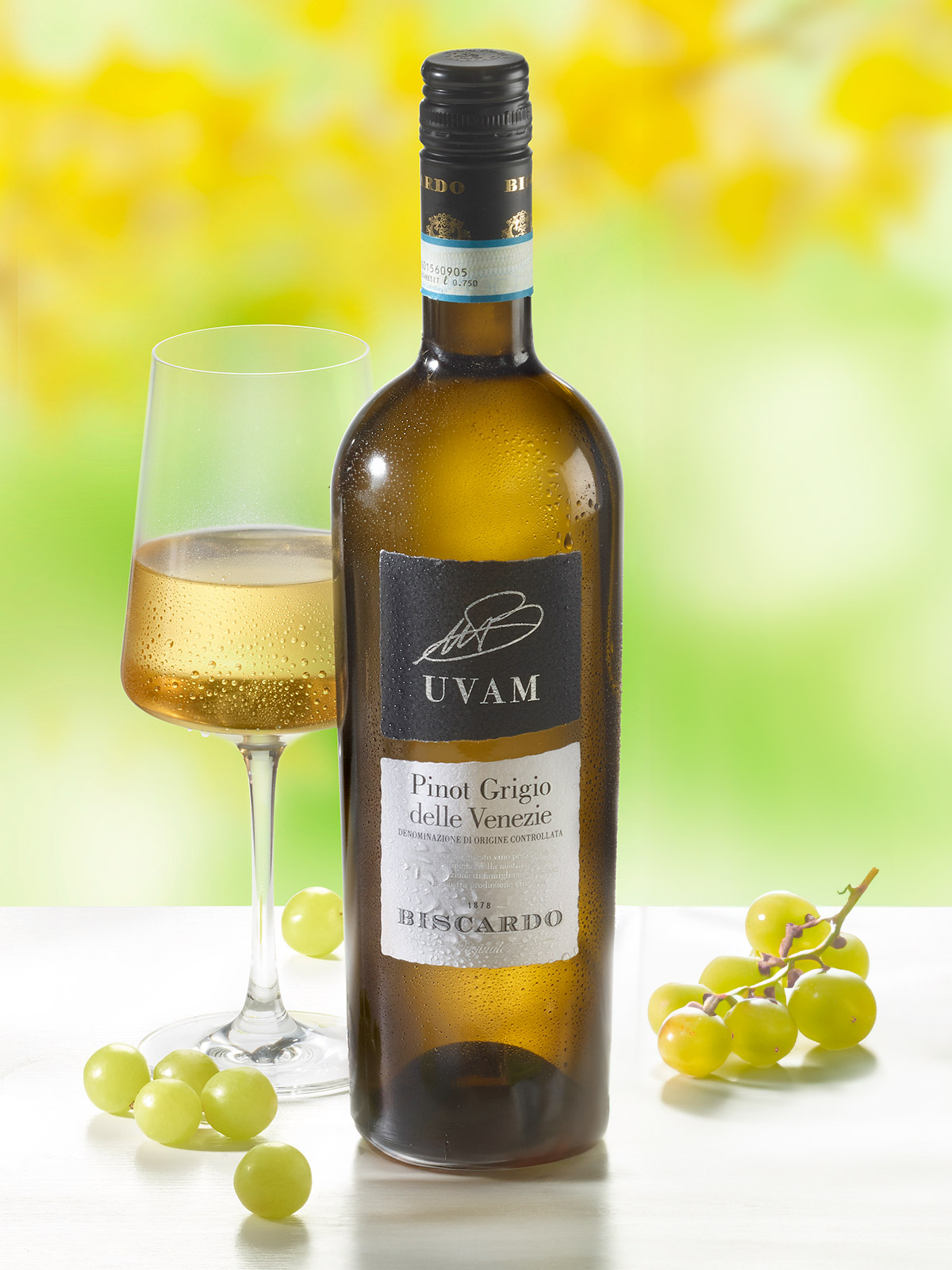 Biscardo Pinot Grigio 