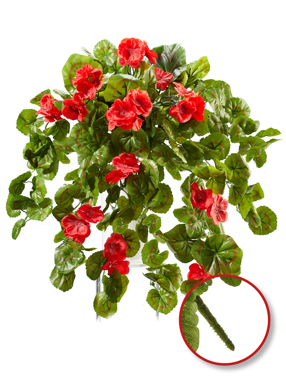 Geranien-Hänger „Rubina“, rot Geranien-Hänger „Rubina“, rot