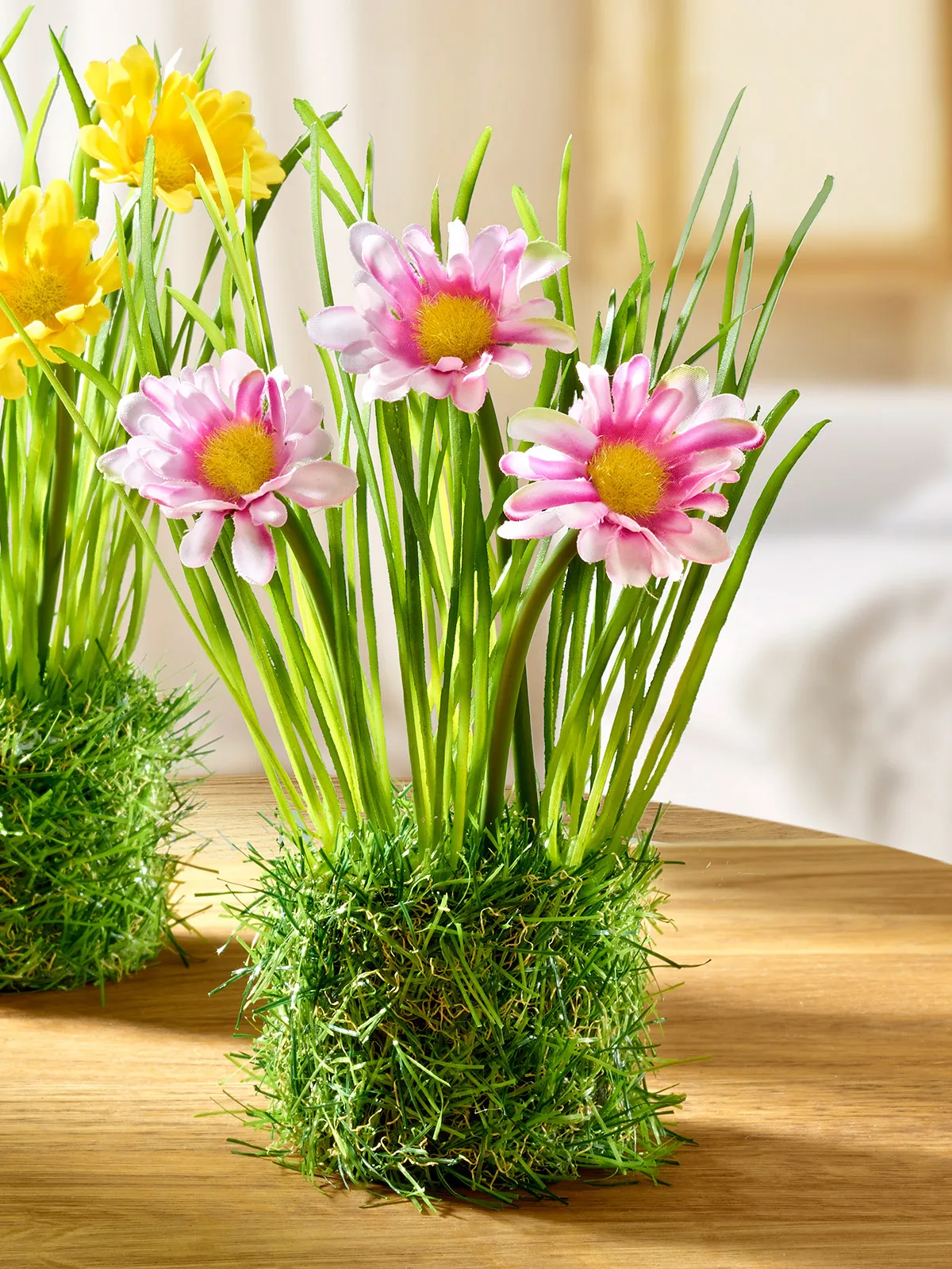 Margeriten im Nest, rosa