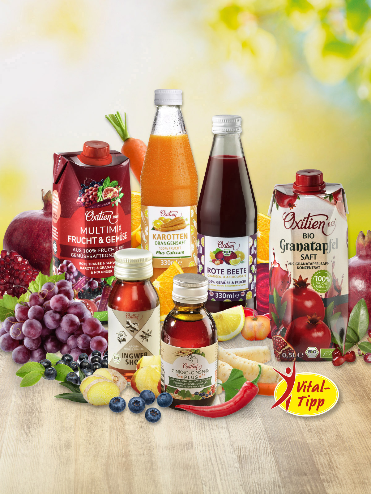 Power-Probierpaket „6 in 1“