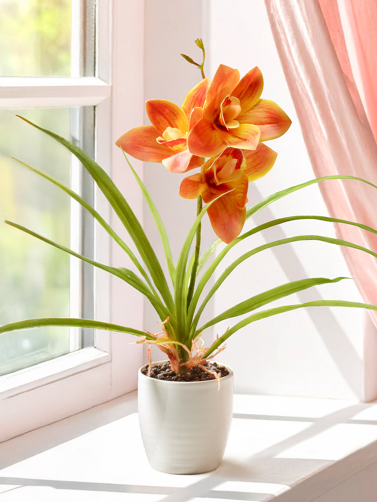 Orchidee „Misaki“, orange
