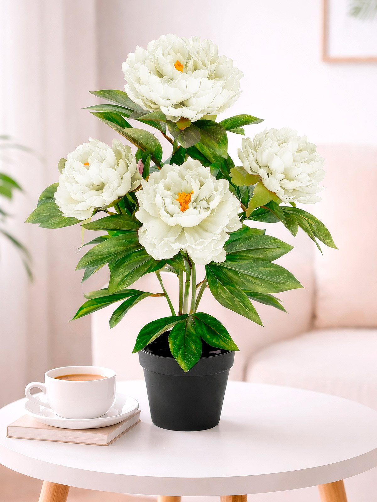 Pfingstrosen-Busch, 58 cm, weiß