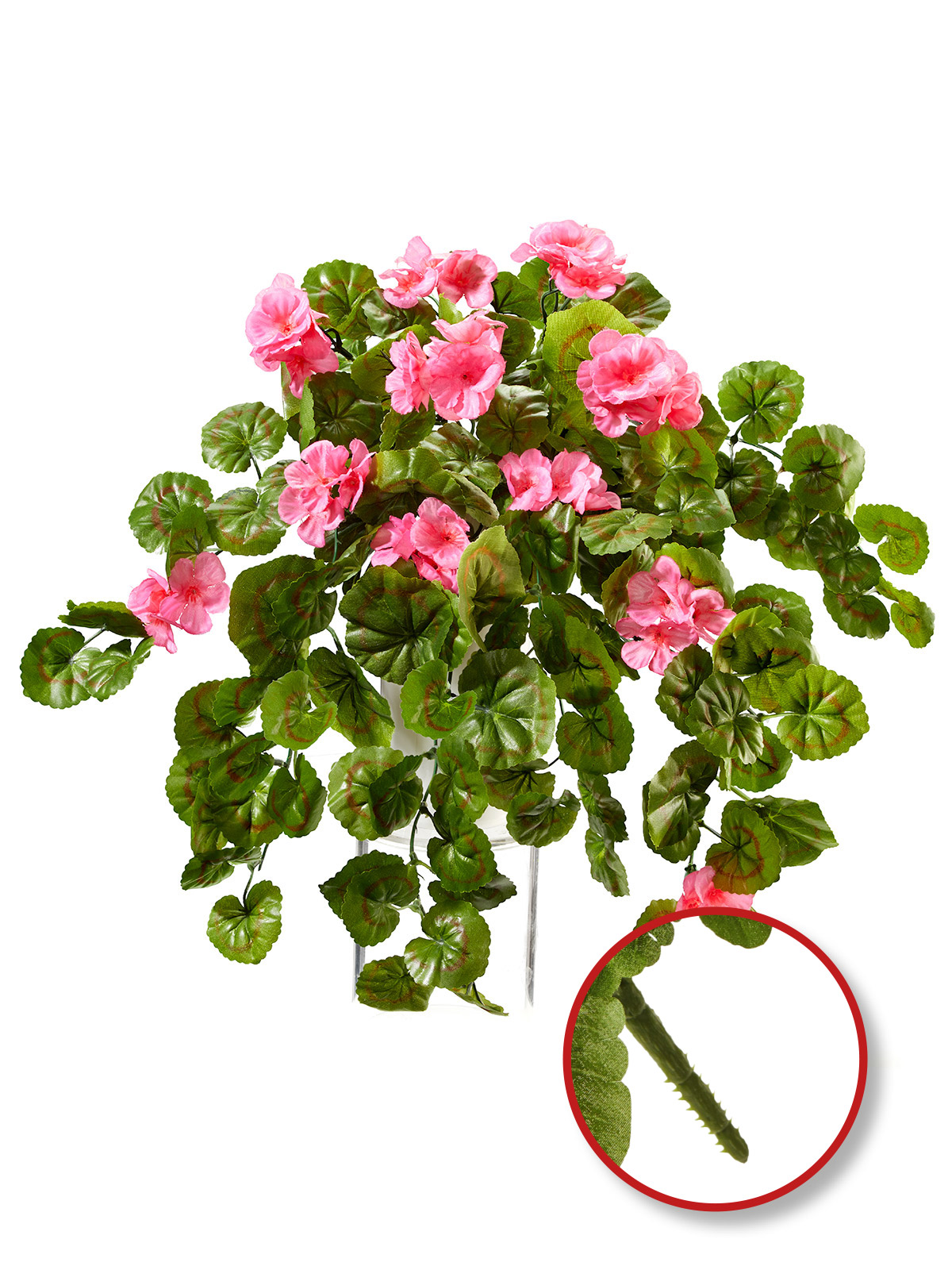 Geranien-Hänger „Rubina“, rosa