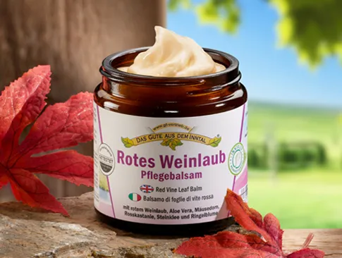 Rotes Weinlaub Pflegebalsam mit herbstlichen Weinblättern