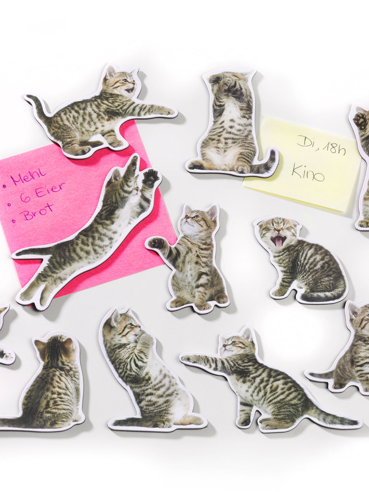 Katzen-Magnete