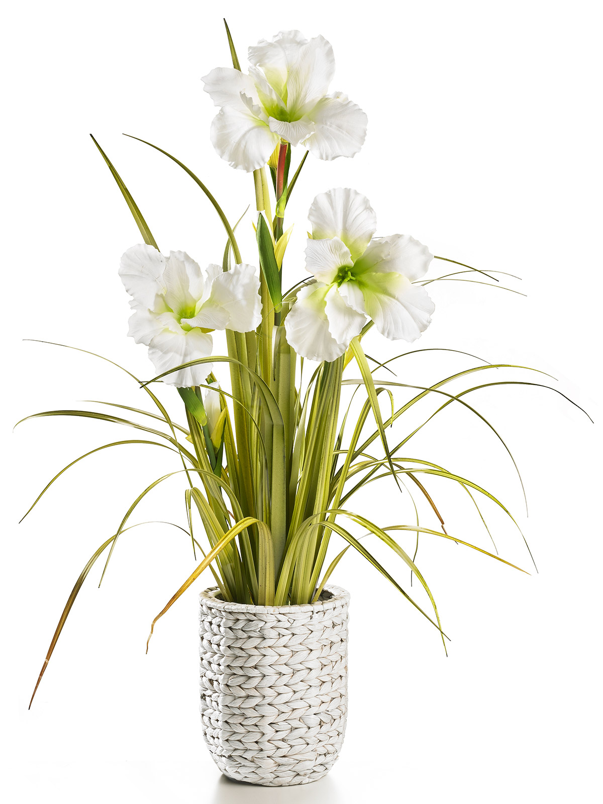 Korb „Sumpflilie, weiß“