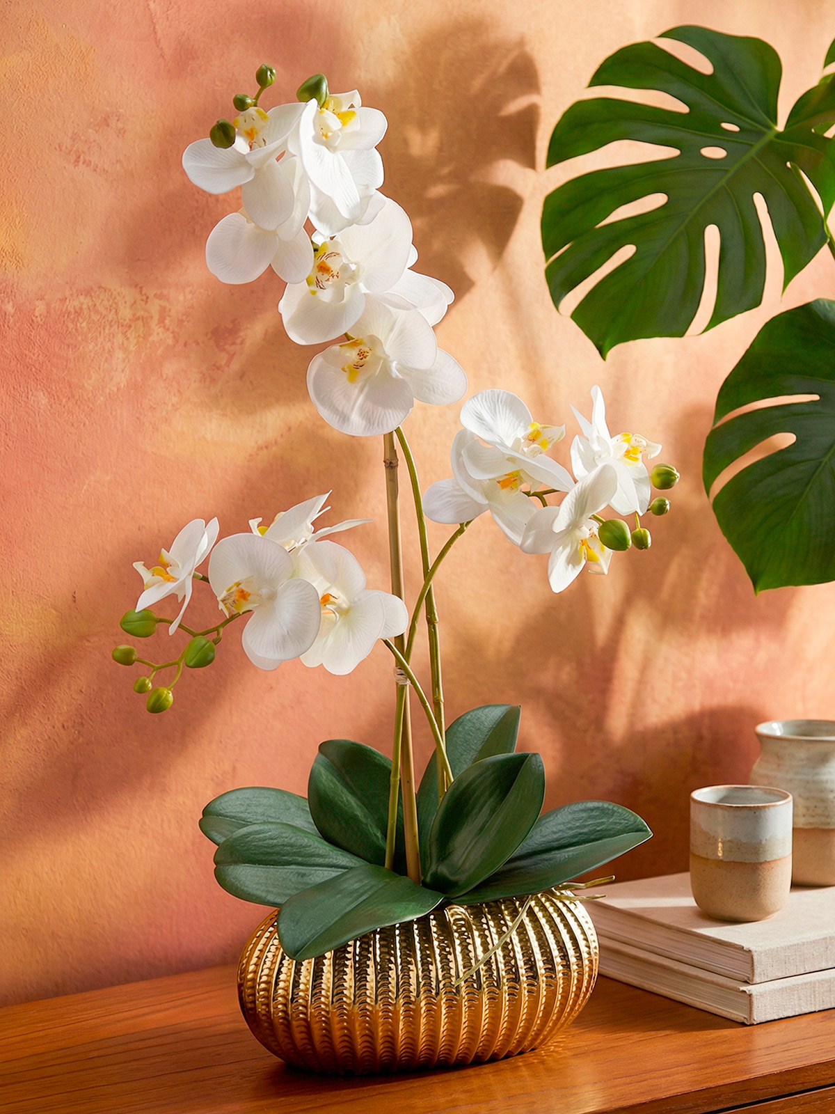 Orchidee in Keramikschale