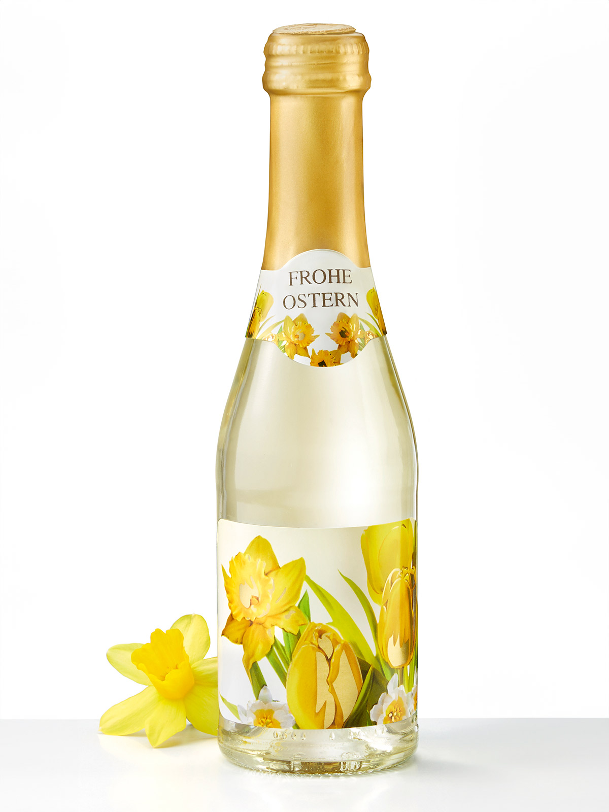 Oster-Secco