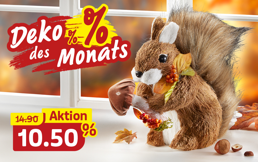 Herbstdeko Eichhörnchen mit Nuss im Monatsangebot
