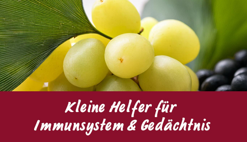 Grüne und schwarze Trauben mit Ginkgo-Blatt in Nahaufnahme.