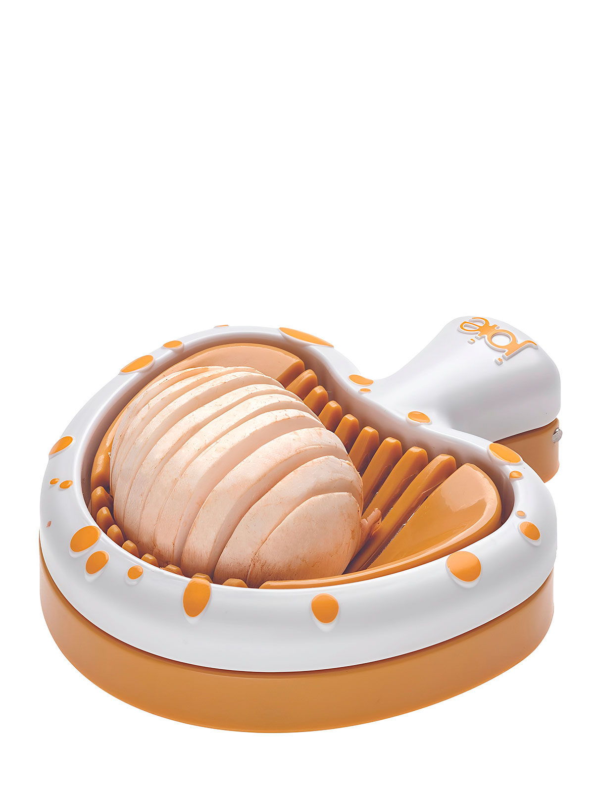 Pilz-Schneider Pilz-Schneider