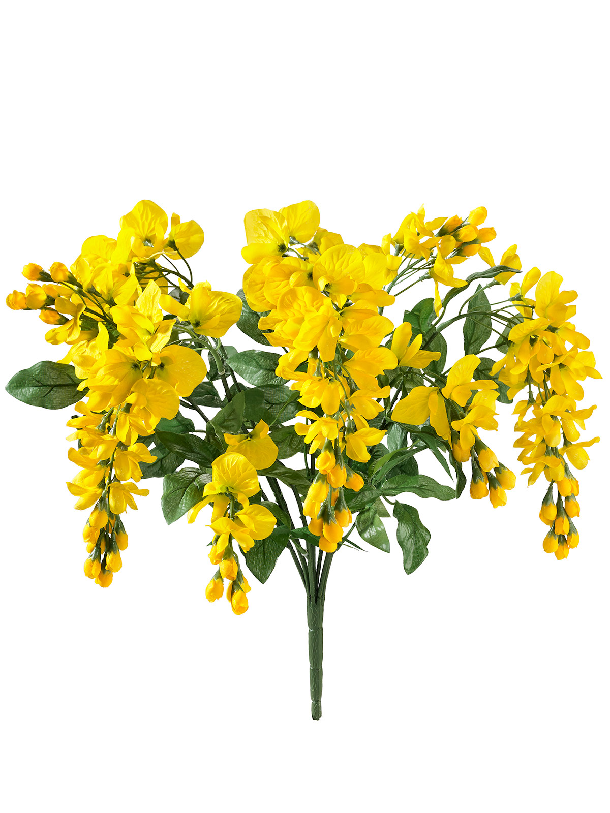 Strauß „Goldregen“