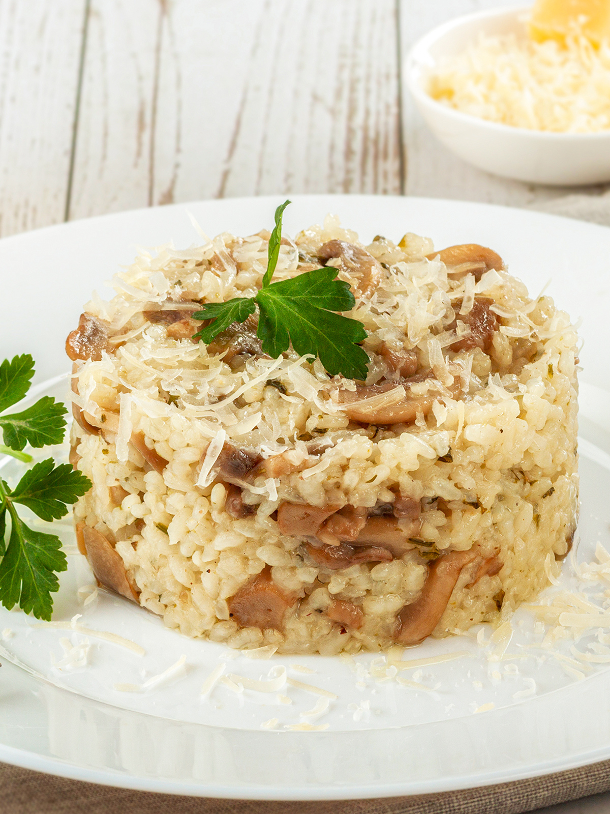 BIO Risotto „Porcini“