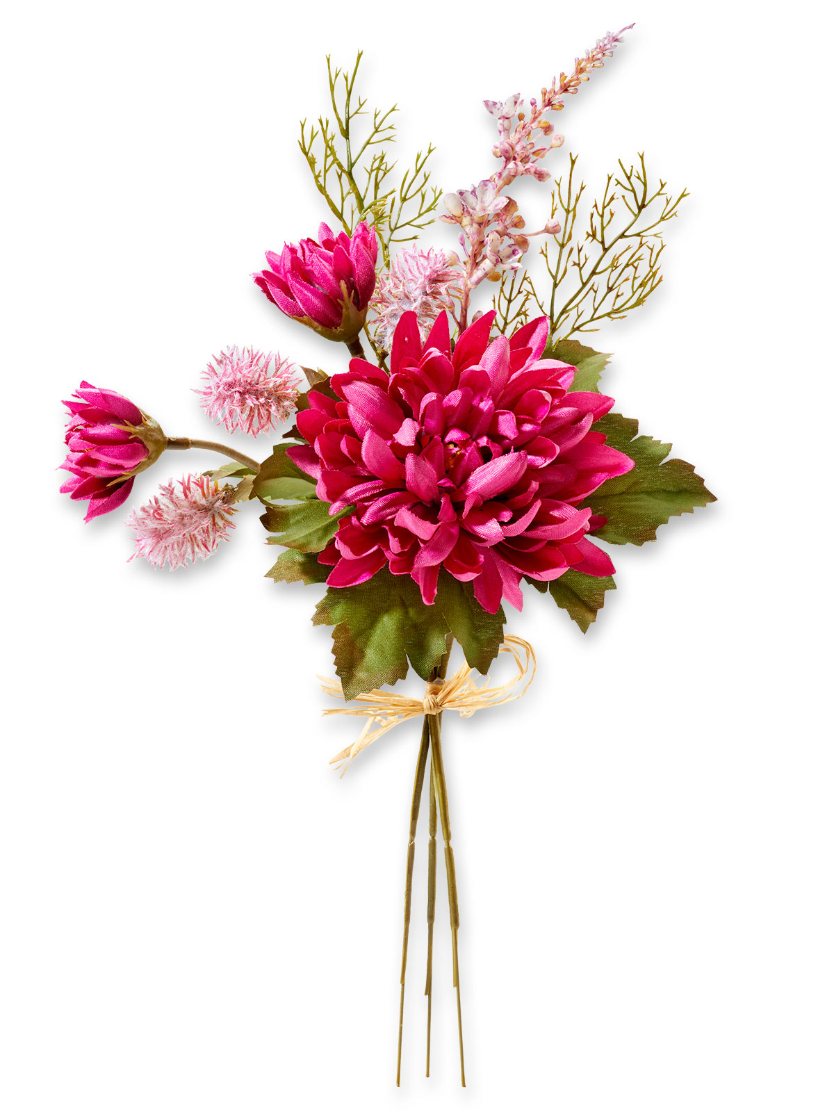 Chrysanthemen-Bund, burgund