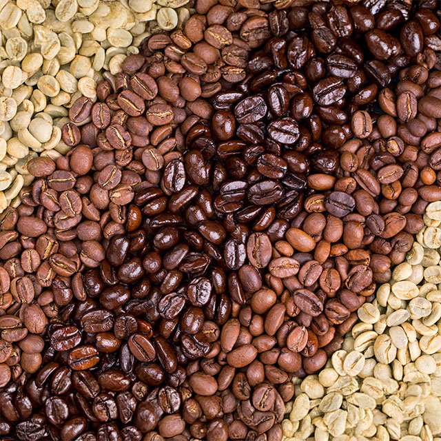 Verschiedene Röstgrade von Kaffeebohnen von hell bis dunkel