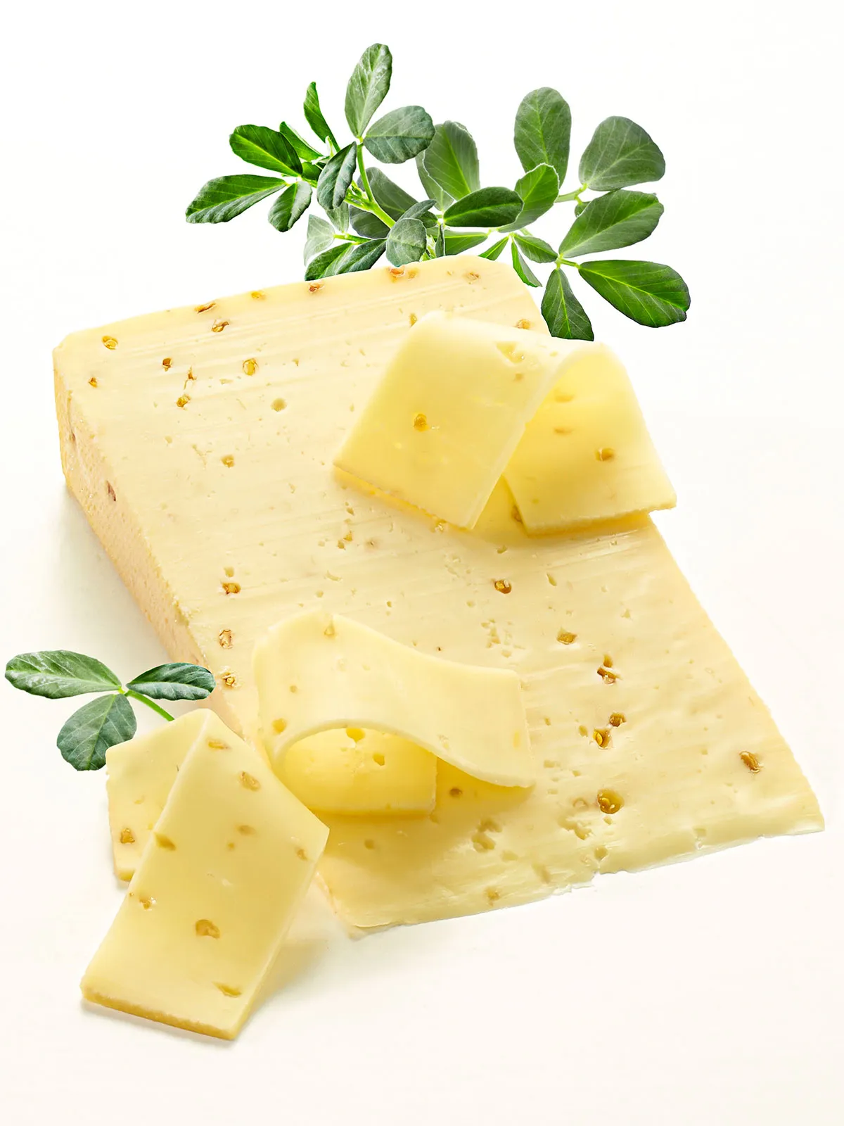 Bockshornklee-Käse