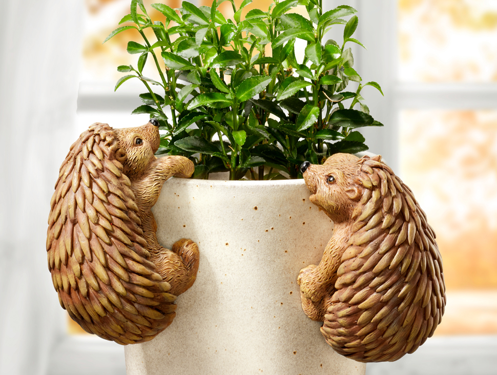 Deko-Igel als Pflanzentopf-Kletterer