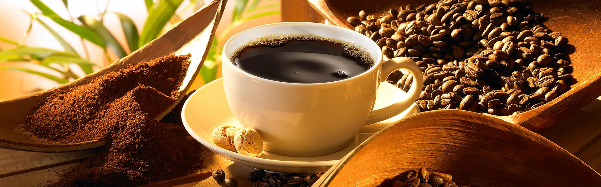 Tasse Kaffee mit Bohnen und Kaffeepulver arrangiert