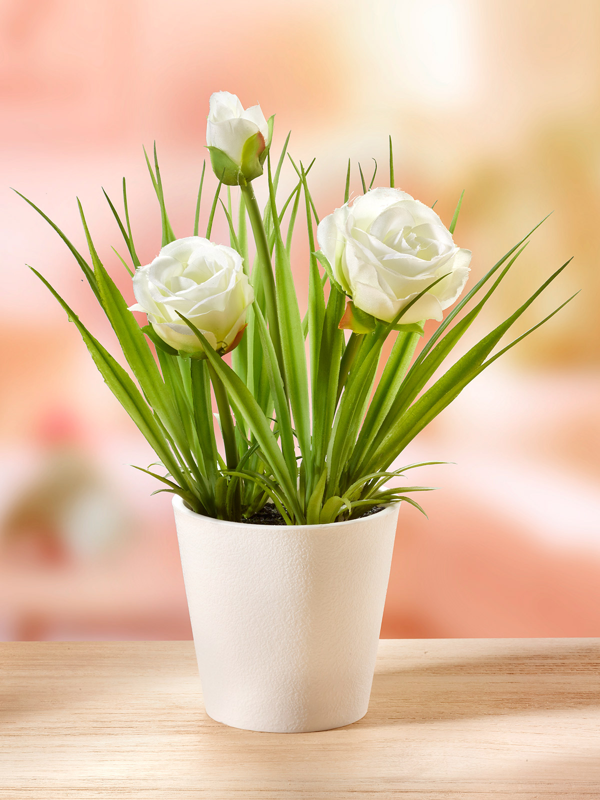 Rosen-Arrangement im Topf Rosen-Arrangement im Topf