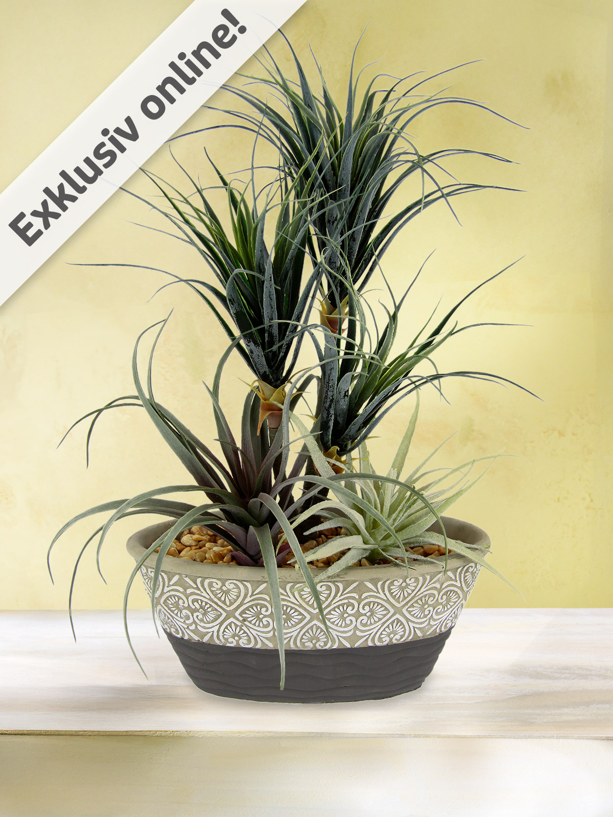 Keramikschale „Dracena & Tillandsia“