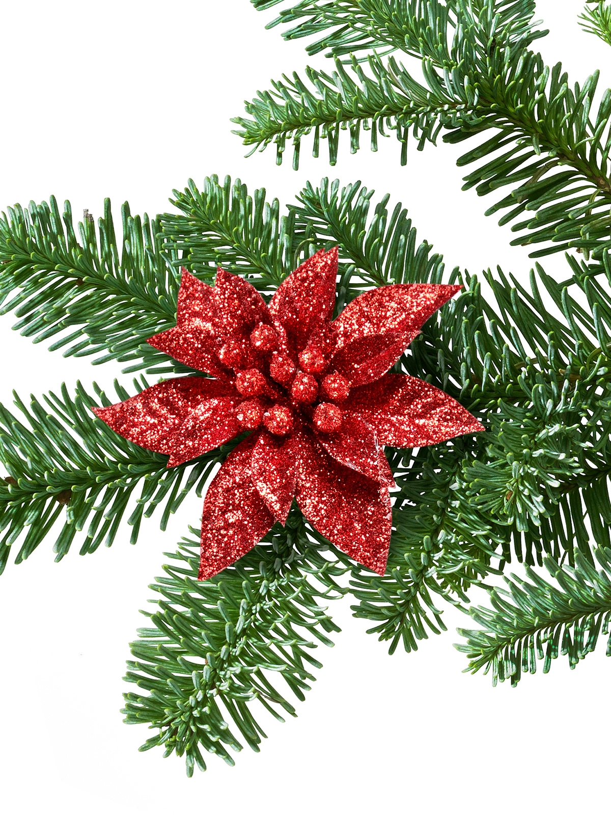 Dekoclip-Set „Weihnachtsstern“