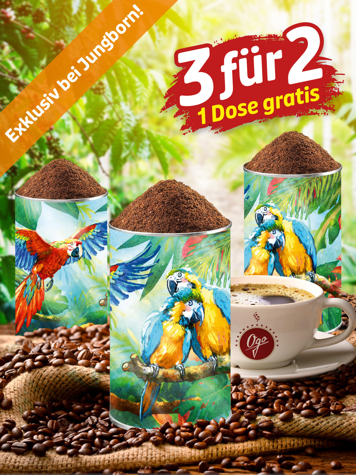 „3 für 2“ Festkaffee „Papageien-Pracht“