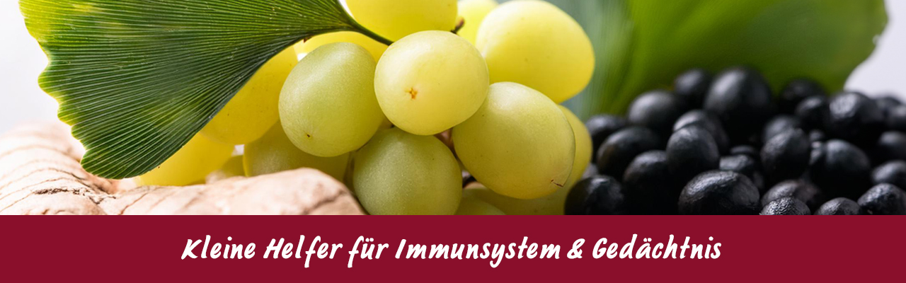 Grüne und schwarze Trauben mit Ginkgo-Blatt in Nahaufnahme.